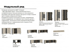 Гостиная Отис Дуб Крафт Серый/Антрацит в Красноуфимске - krasnoufimsk.magazinmebel.ru | фото - изображение 5