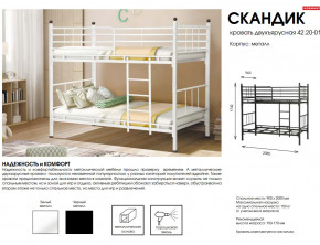 Кровать двухъярусная Скандик 42.20-01 в Красноуфимске - krasnoufimsk.magazinmebel.ru | фото - изображение 2